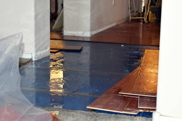 Professional Burst Pipe Cleanup technician working in Blount, WV